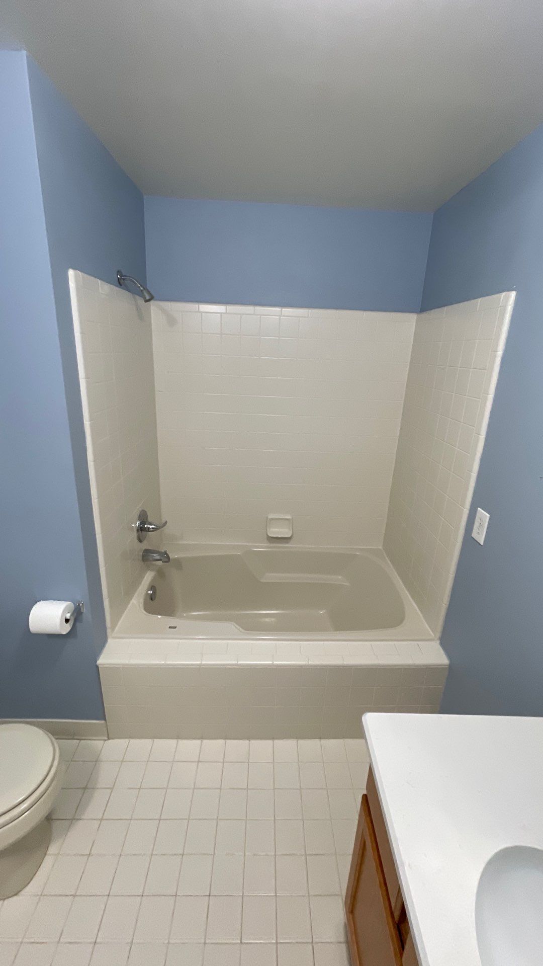 Before Bath Remodel