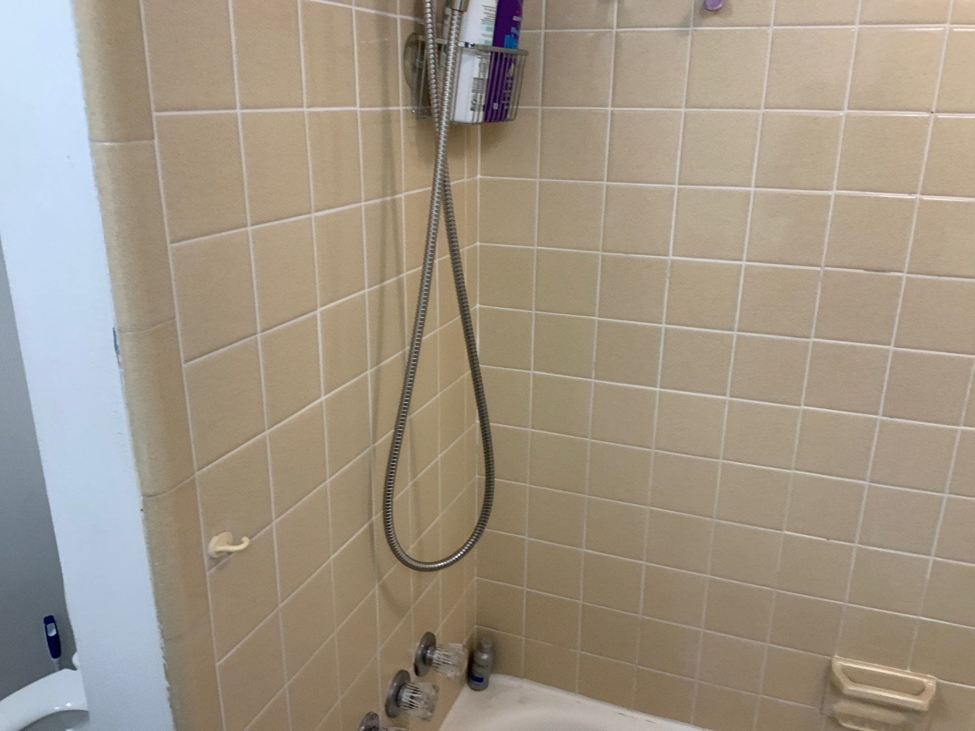 Before Bath Remodel